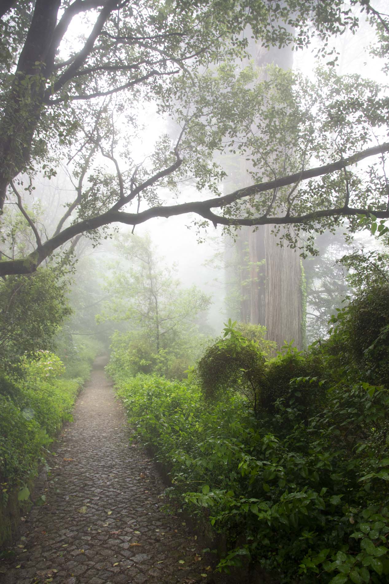 parkpena_sintra